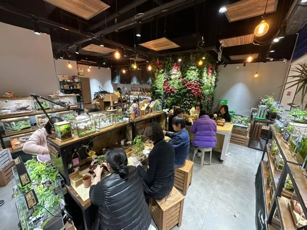 科威1.jpg