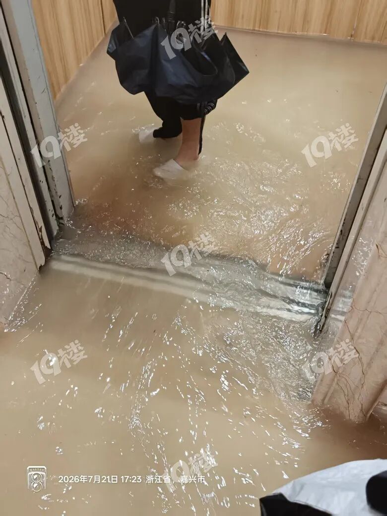 倾盆大雨！嘉兴一小区已经成水帘洞了…